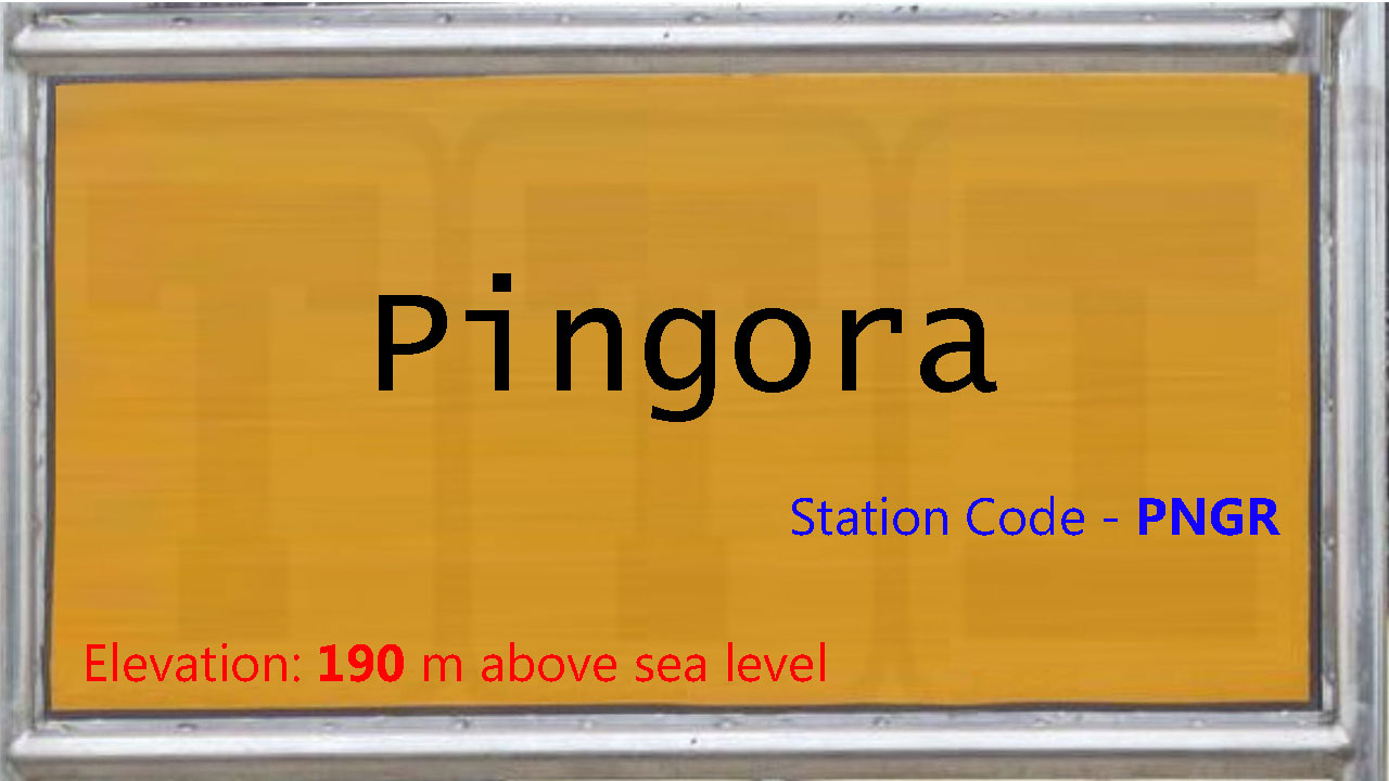Pingora